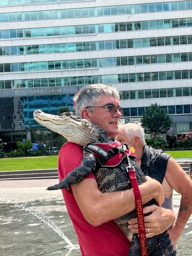 An Emotional Support Alligator Chilling Out In Philadelphia Love Park