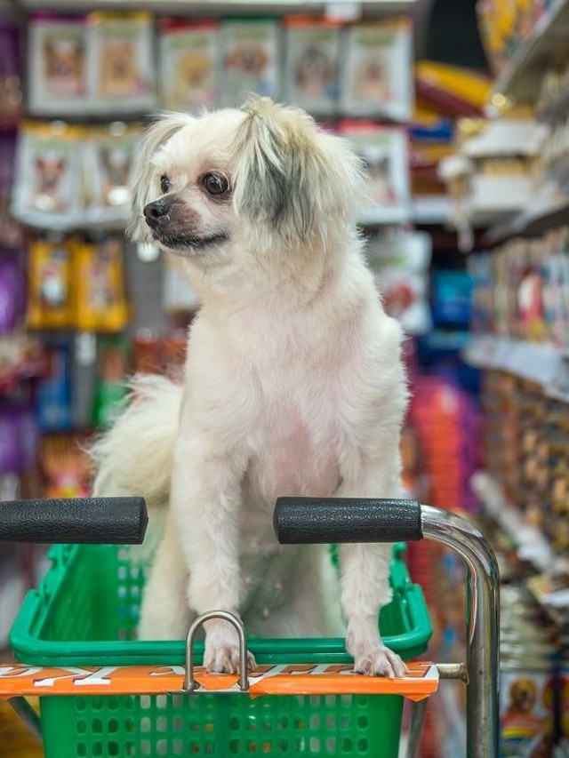 Best 6 Pet Food Stores in Jersey City, USA