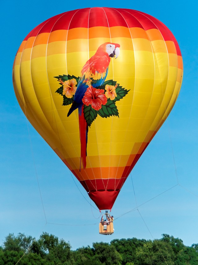 The Dutchess County Hosts The Hudson Valley Hot Air Balloon Festival